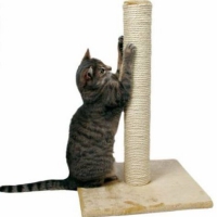как отучить кошку драть мебель