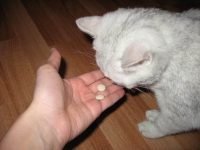 витамины для кошек